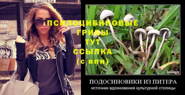 спайс Абинск