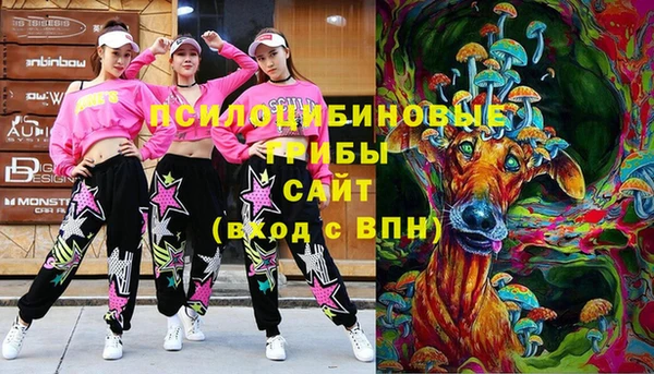 круглые Абаза