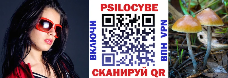 МЕГА tor  Тихорецк  Псилоцибиновые грибы ЛСД  где купить  